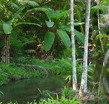 rionegro-copy.jpg